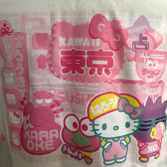 NWT Shein x Hello Kitty Cropped Ringer T-Shirt Medium Kawaii Tokyo White Pink - Picture 6 of 8